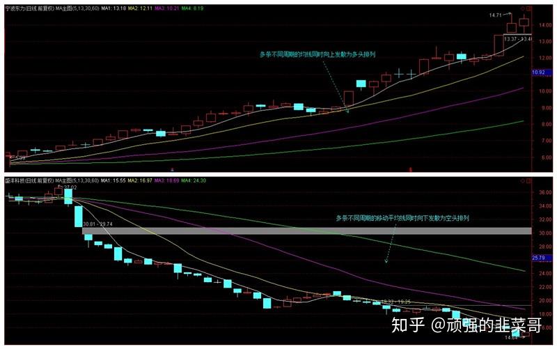 80年前的胜利为何仍需铭记?上合秘书长引用这句中国古语作答